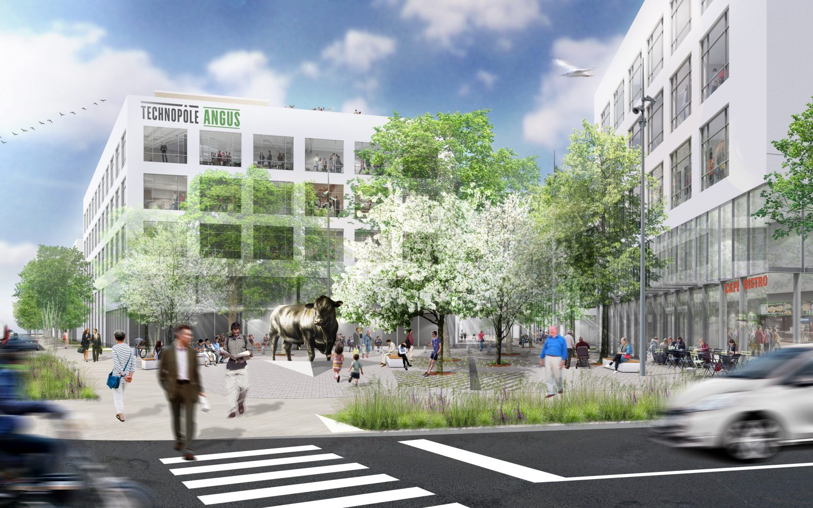 Société D Habitation Et De Développement De Montréal